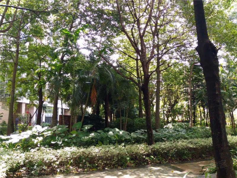 依云水岸一期,新乐路-佛山依云水岸一期二手房,租房,房价-佛山安居客