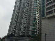 珠江新城东小区图片