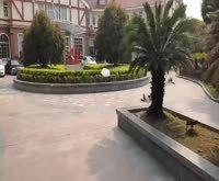 海德名园 别墅 玉树北路455弄 上海海德名园 别墅 二手房 租房 房价 上海安居客