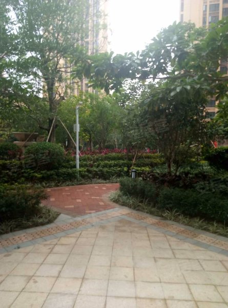 御景水岸花园(温馨花园)