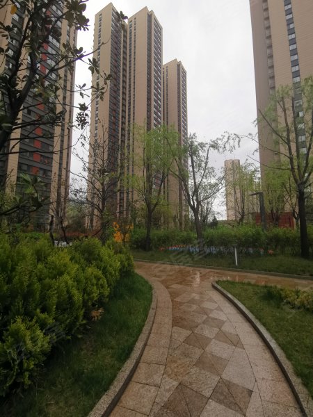 轩苑世家星城二期