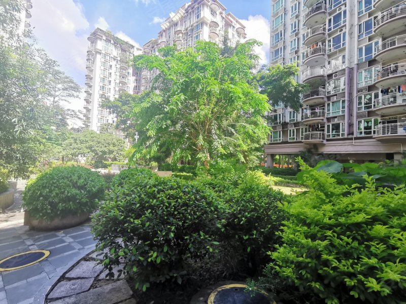 星海名城(二期),前海路3103号-深圳星海名城(二期)二手房,租房,房价