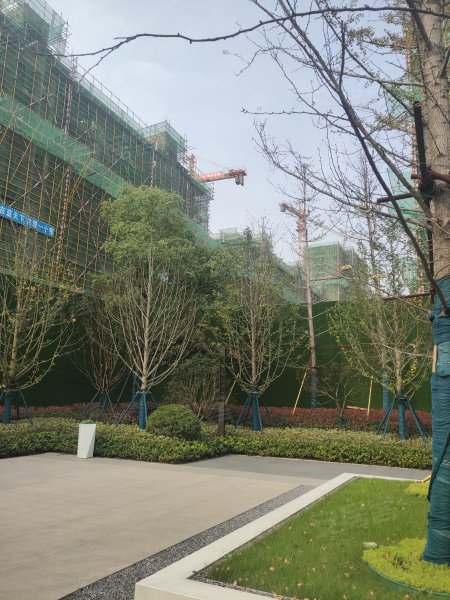 金大地上东天宸,铜井路-铜陵金大地上东天宸二手房,租房,房价-铜陵