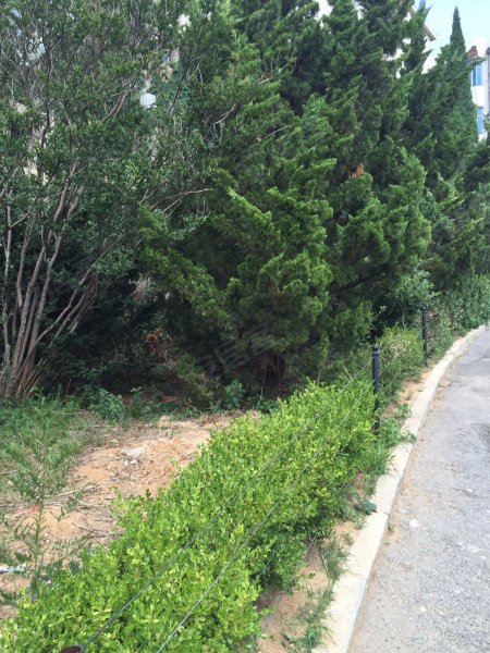 仲夏花园,八一路133号-大连仲夏花园二手房,租房,房价-大连安居客