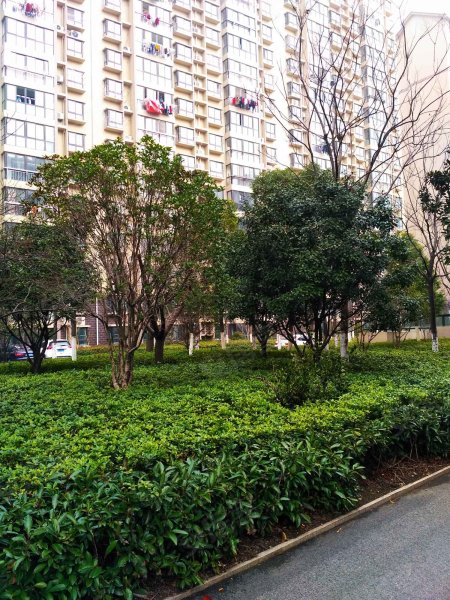 康居新城(东苑)