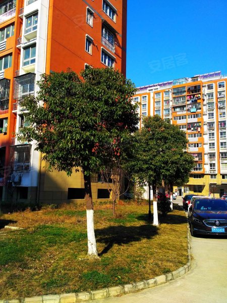 凤凰曦城东苑,周山河路-泰州凤凰曦城东苑二手房,租房,房价-泰州安居