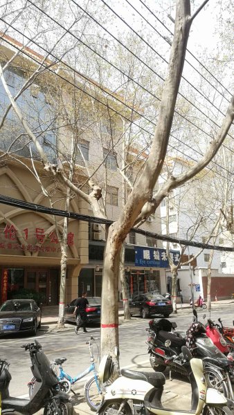 经纬公寓,经一路5-4号-郑州经纬公寓二手房,租房,房价-郑州安居客