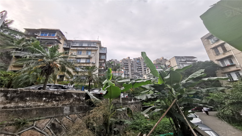 石亭小区,石亭路1-174号-厦门石亭小区二手房,租房,房价-厦门安居客
