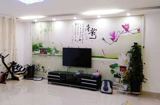 楚星绿城3室2厅154㎡51万二手房图片