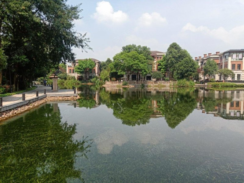 凤凰湾纯水岸,宏帆路32号-重庆凤凰湾纯水岸二手房,租房,房价-重庆