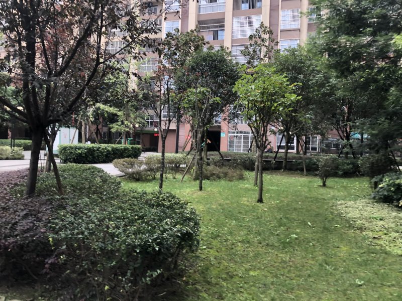 紫竹苑一期,双业东路19号-成都紫竹苑一期二手房,租房,房价-成都安居