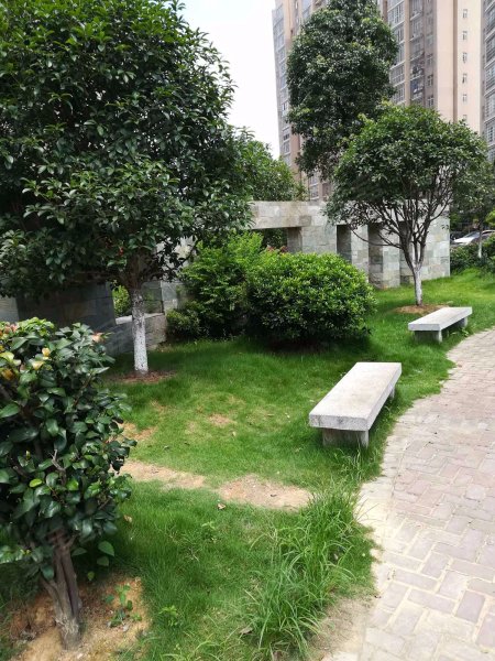 洋湖景园,景园路239号-长沙洋湖景园二手房,租房,房价-长沙安居客