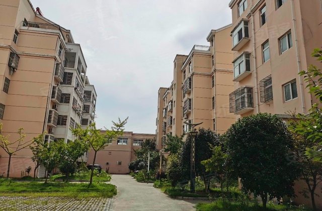 泰丰花园3室2厅107.6㎡65万二手房图片