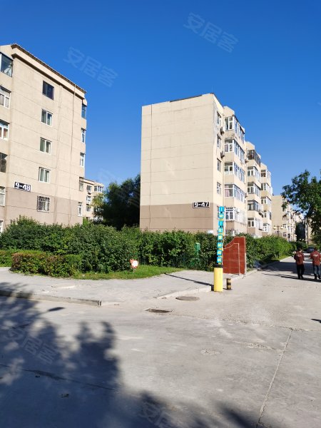 新村(九区),建设路-大庆新村(九区)二手房,租房,房价-大庆安居客