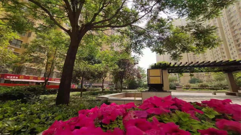 紫境城,孙武路,近天章大道-西安紫境城二手房,租房,房价-西安安居客