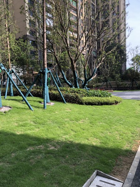 保利凤凰湾,桃园路95号-贵阳保利凤凰湾二手房,租房,房价-贵阳安居客