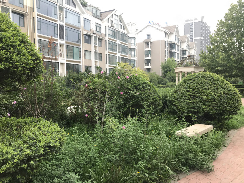 美丽华小区,文化路301号-潍坊美丽华小区二手房,租房,房价-潍坊安居客