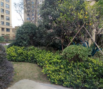 众安白马御府(别墅)