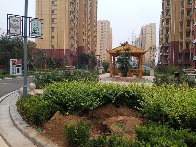 德兴城上城,德兴北大道1199号-德州德兴城上城二手房,租房,房价-德州