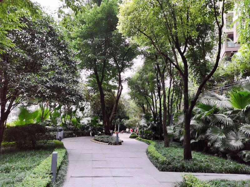 龙湖春森彼岸(2期)