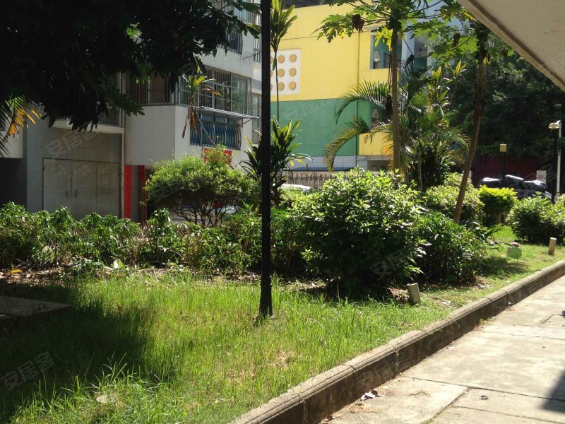 丽江花园,五一中路26号-南宁丽江花园二手房,租房,房价-南宁安居客