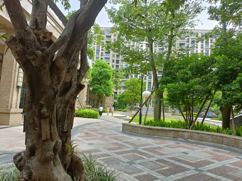 雅丽豪庭,贵隆路1号-佛山雅丽豪庭二手房,租房,房价-佛山安居客