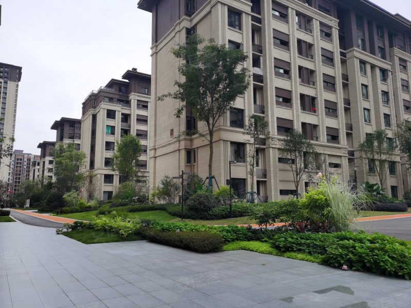 金科集美东方,中龙路288号-重庆金科集美东方二手房,租房,房价-重庆