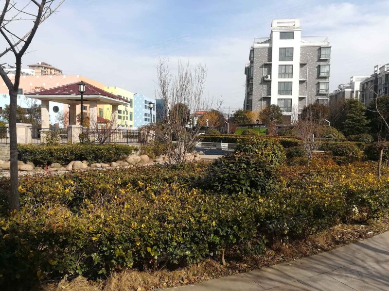 浦东国际花园(南区)