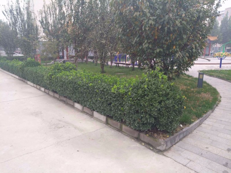 东湖庄园b区,北三环路-保定东湖庄园b区二手房,租房,房价-保定安居客