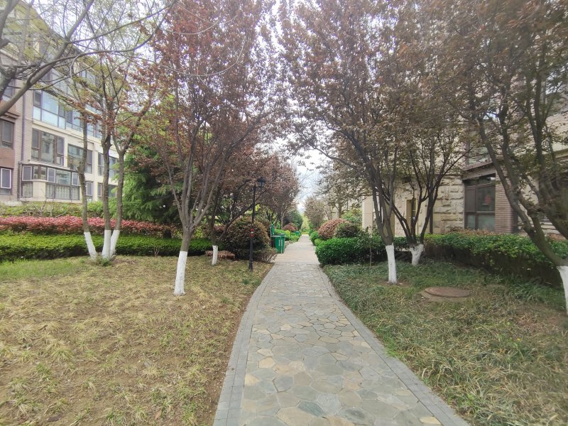 御景峰,香港东路85-2号-青岛御景峰二手房,租房,房价-青岛安居客