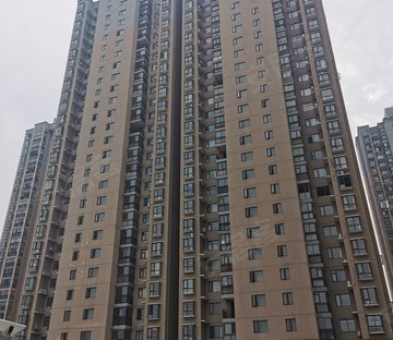 普锦左岸春天