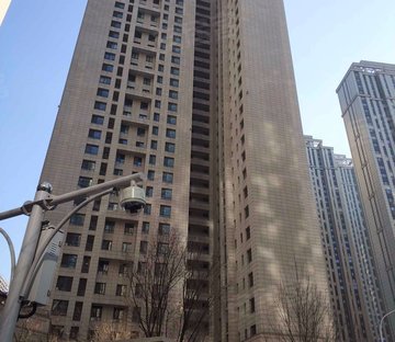 保利金香槟