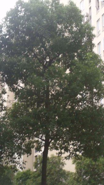 金硕河畔景园(西区) 