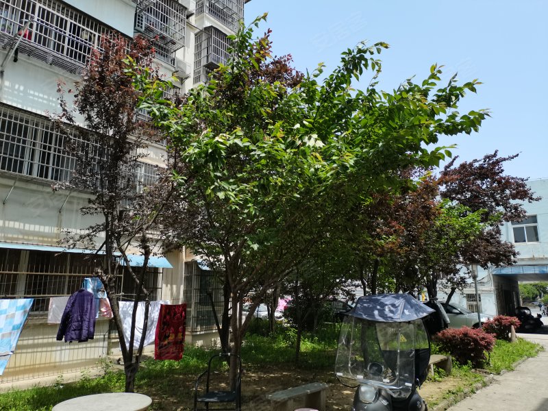 锦都花园,皖河路-安庆锦都花园二手房,租房,房价-安庆安居客