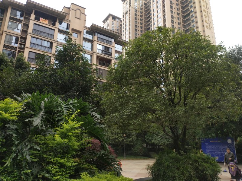 领地凯旋广场,东源大道南二段,近苏源路-眉山领地凯旋广场二手房,租房