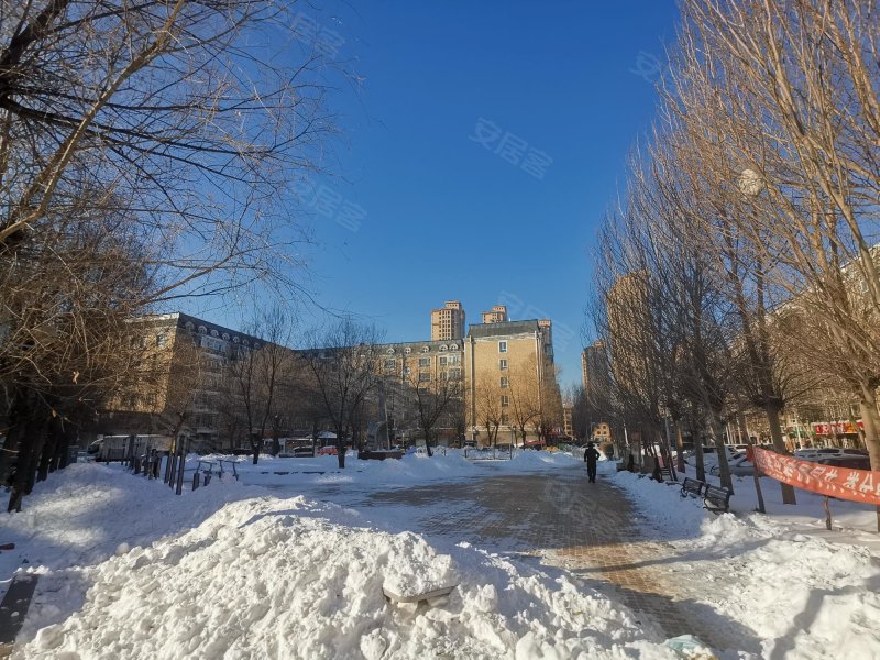 银河小区(松北),前进路8号-哈尔滨银河小区(松北)二手房,租房,房价