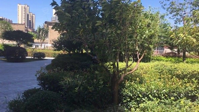 海天城市花园