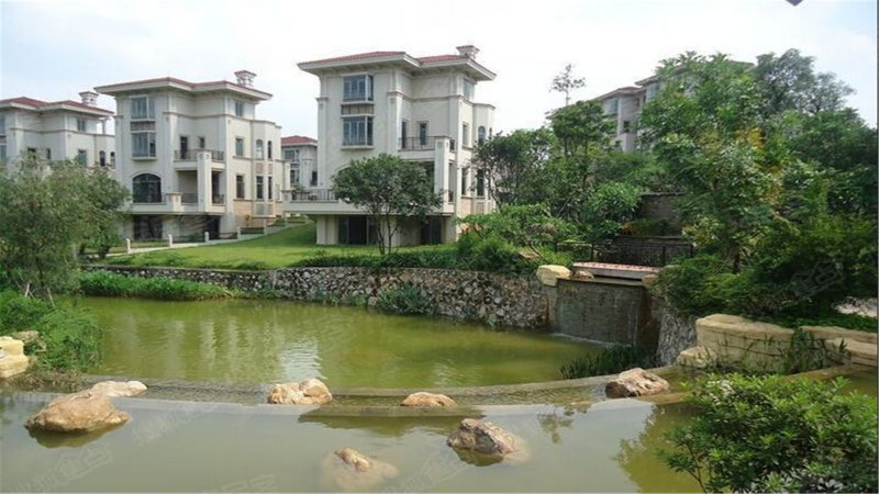 丽日天鹅湖(别墅)