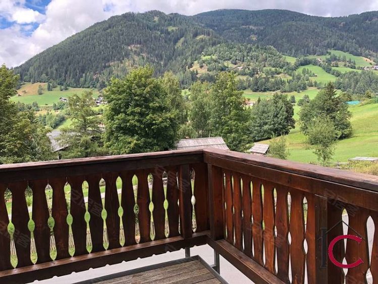 奥地利约¥180万AustriaBachApartment出售二手房公寓图片