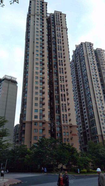 荣和大地一组团花园里