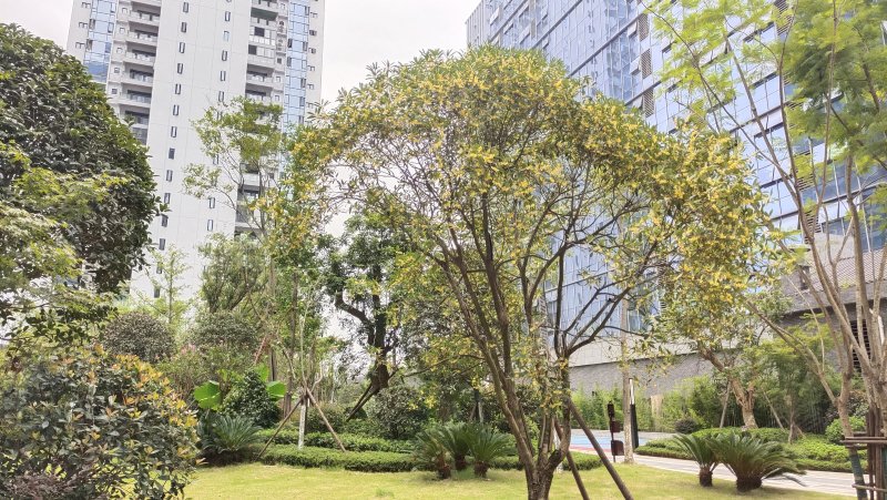 佳乐世纪城云尚,春华路一段-泸州佳乐世纪城云尚二手房,租房,房价