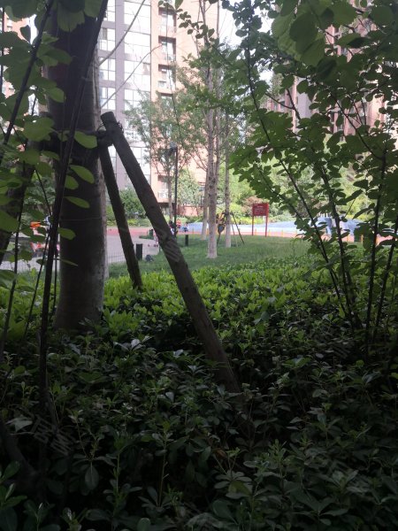 绿都紫荆华庭佳园