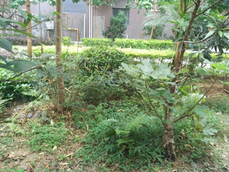聚龙明珠,观井路139号-福州聚龙明珠二手房,租房,房价-福州安居客