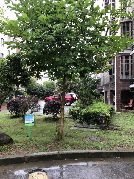 古荡佳苑,华丰路-海盐古荡佳苑二手房,租房,房价-海盐安居客