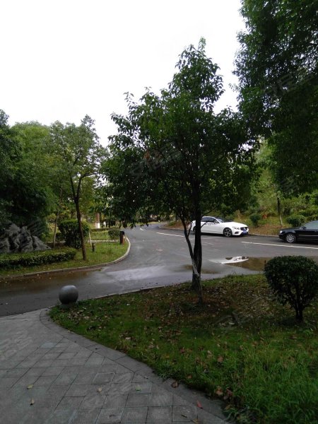 淞雅苑,滨湖路1号-长沙淞雅苑二手房,租房,房价-长沙安居客