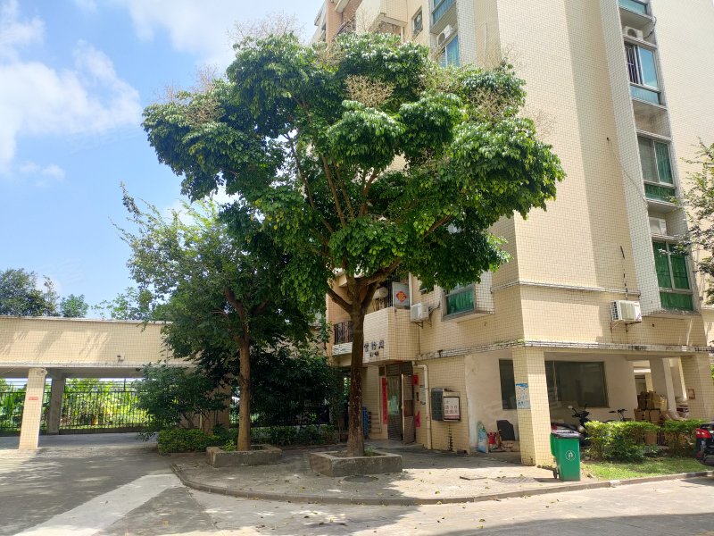 富景花园,南歧中路-中山富景花园二手房,租房,房价-中山安居客