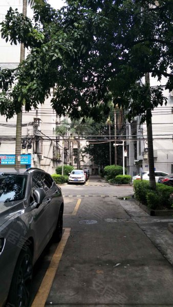 花园新村(东城)