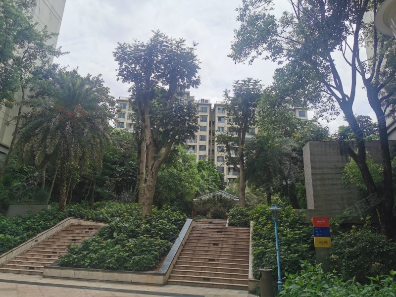 荣和大地一组团花园里