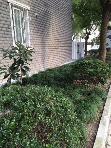 迎园中路281弄小区 