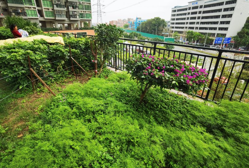 三友贤居,建安路-东莞三友贤居二手房,租房,房价-东莞安居客